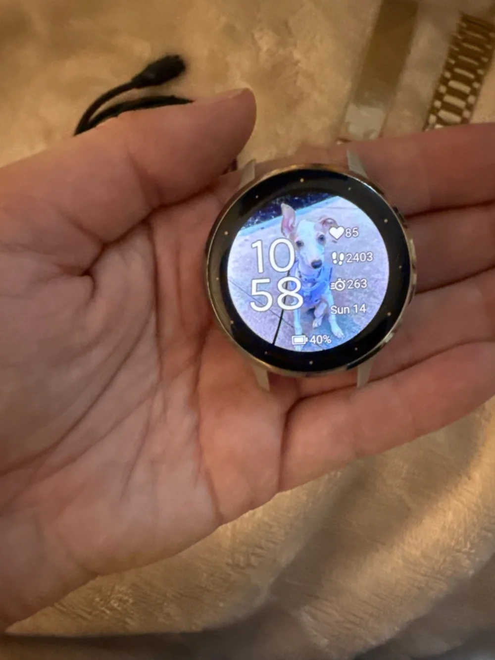 Garmin Venu 3s